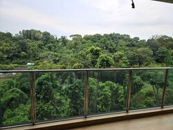Normanton Park (D5), Apartment #627073951